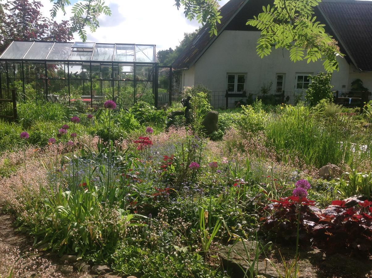 Bed And Breakfast - Stakdelen 47 Allerup Экстерьер фото